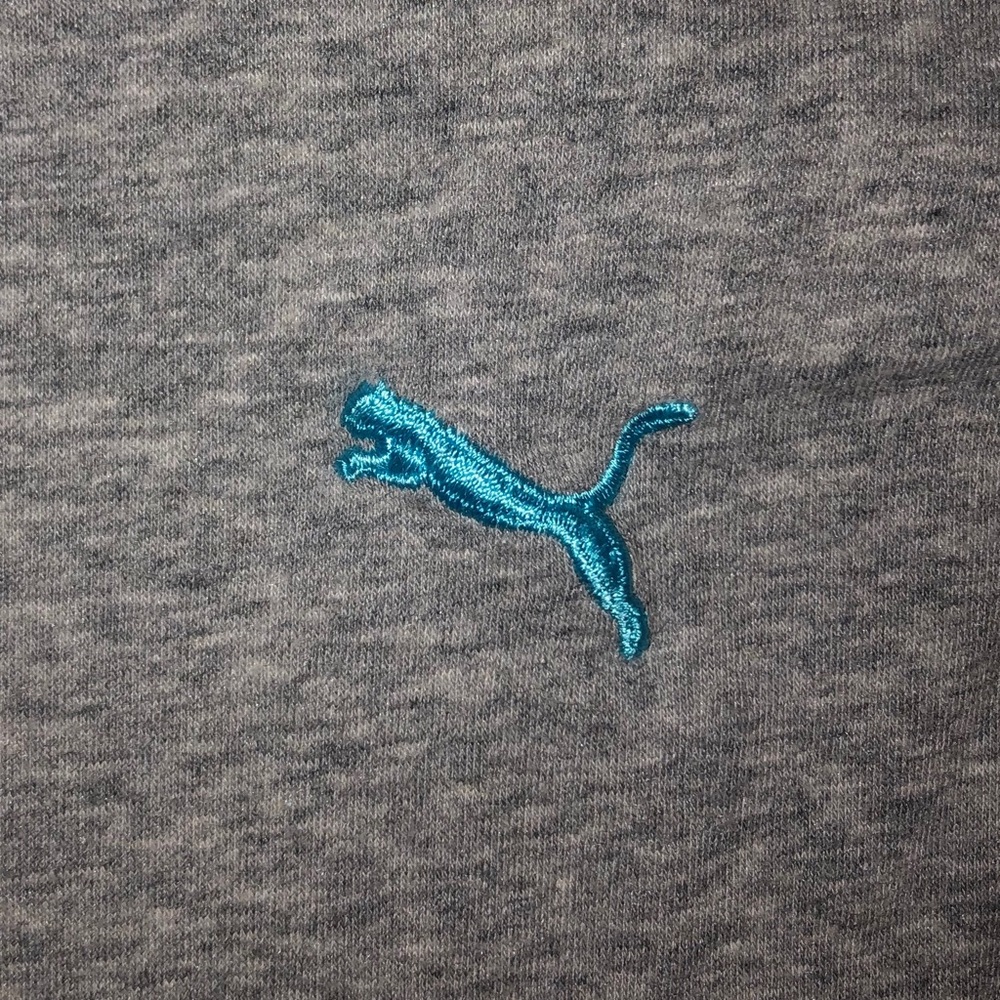 PUMA Grey Hooded Sweater